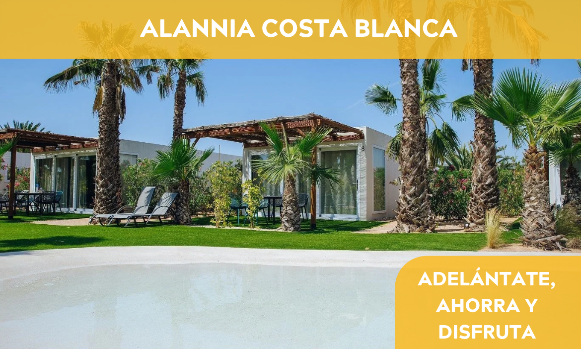 plantilla categoria ofertas web 2026 10 08T141610.885